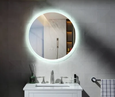 Factory Custom Size Oval Round Salon Light Vanity Mirror Bathroom Hotel Furniture Decorative LED Smart Bath Mirror